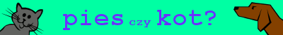 Co wolisz?